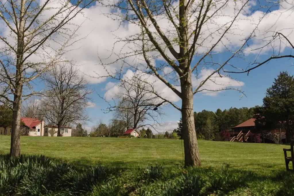 Grounds