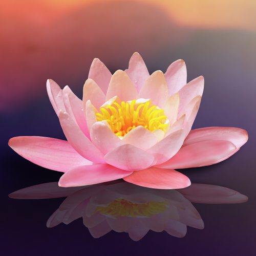 Self-Guided Silent Retreat